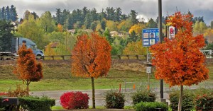Break in the clouds outside the window