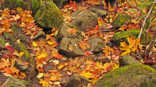 Sandy River Trail just after the rain, just before dusk