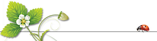 Strawberry short course