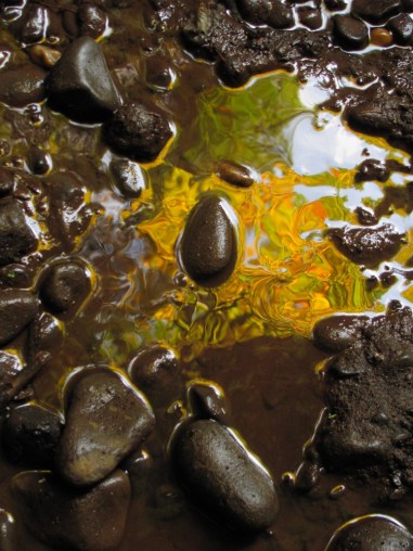 Sandy River Gorge rain puddle