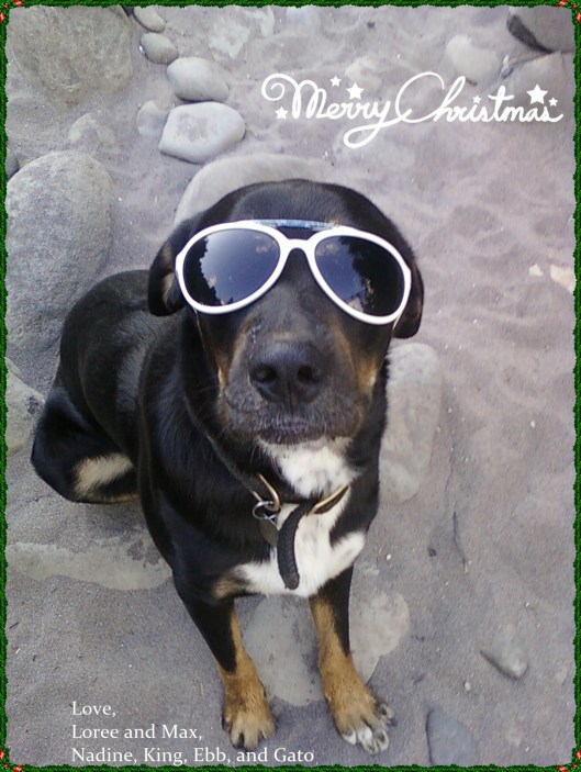 Ebb Christmas_Loree Harrell